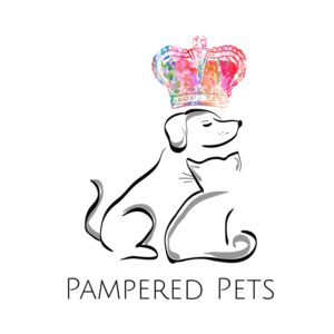 Logo Design by Rahul