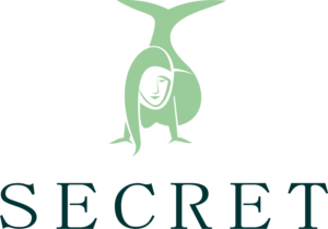 Logo Design by tembre studio