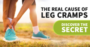 Banner Ad Design by Gfx.26™ for this project | Design: #15194334