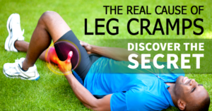 Banner Ad Design by Gfx.26™ for this project | Design: #15201621