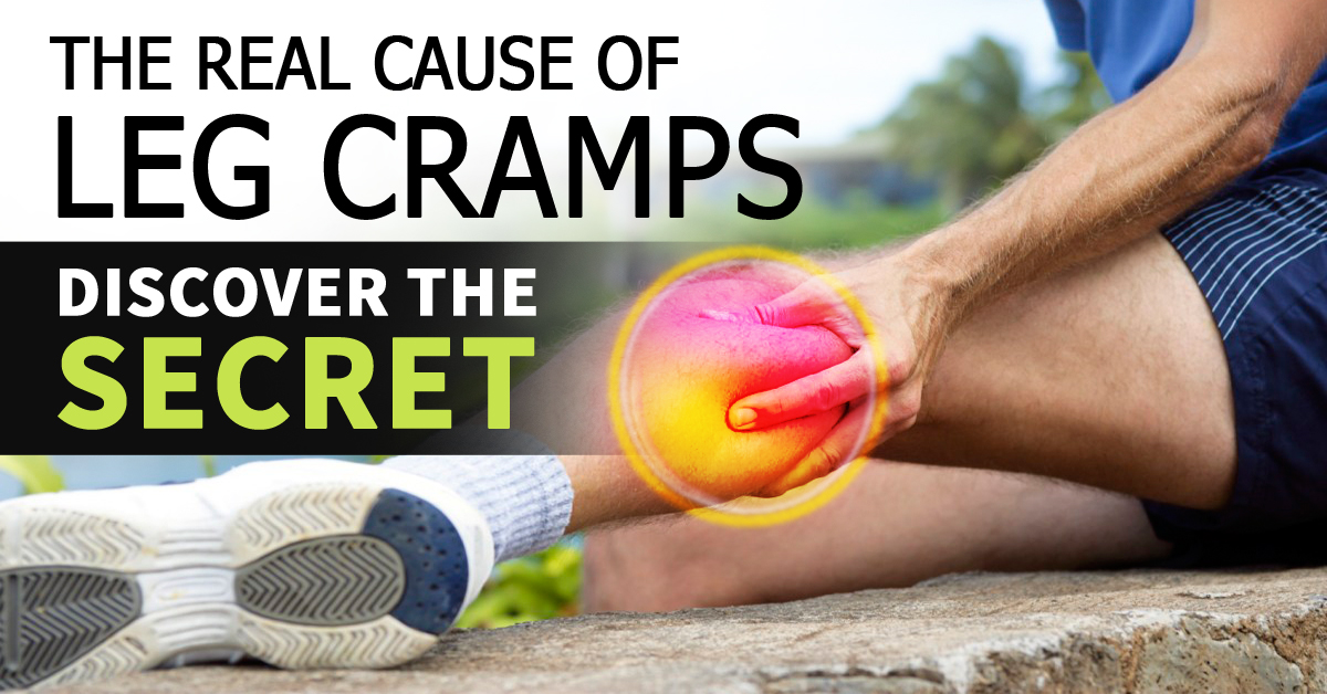 Banner Ad Design by Gfx.26™ for this project | Design #15201652