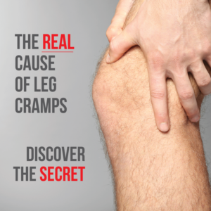Banner Ad Design by Elephont Designs for this project | Design: #15201391