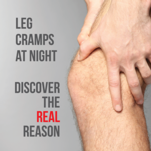 Banner Ad Design by Elephont Designs for this project | Design: #15201392