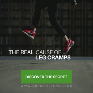 Banner Ad Design by Haya Studos