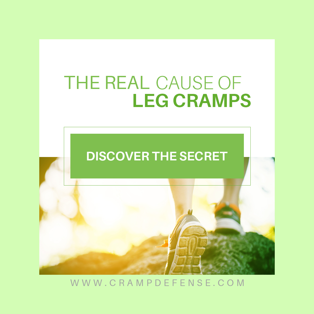 Banner Ad Design by Haya Studos for this project | Design #15199353