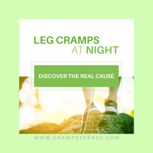 Banner Ad Design by Haya Studos for this project | Design: #15199355