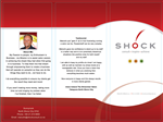 Design de Brochure par LFS Designs pour Shock Consult | Design #39095