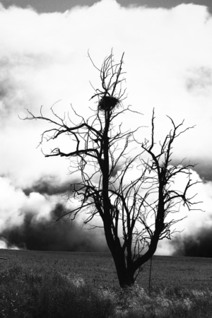 Photography by ckennettbaker