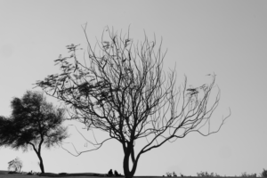 Photography by Khadija Waseem