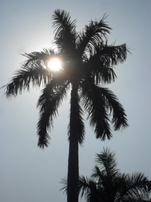 Photography by Nirmal Mehta