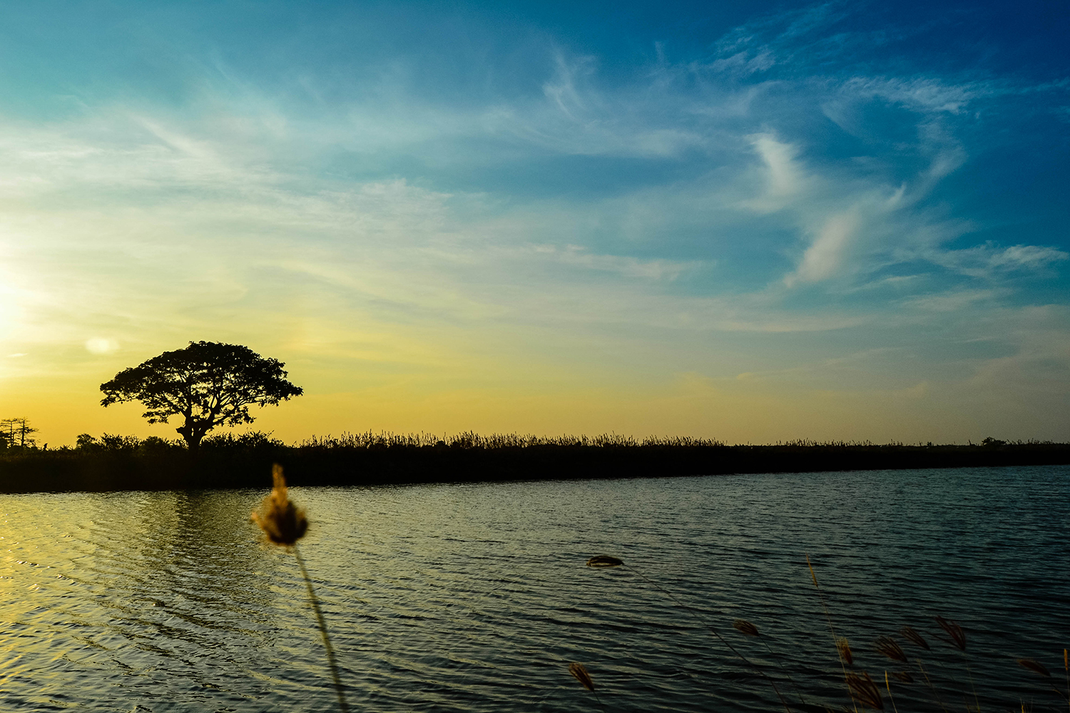 Photographie par bayumegaraya pour DesignCrowd (Community Contests) | Design #15189941