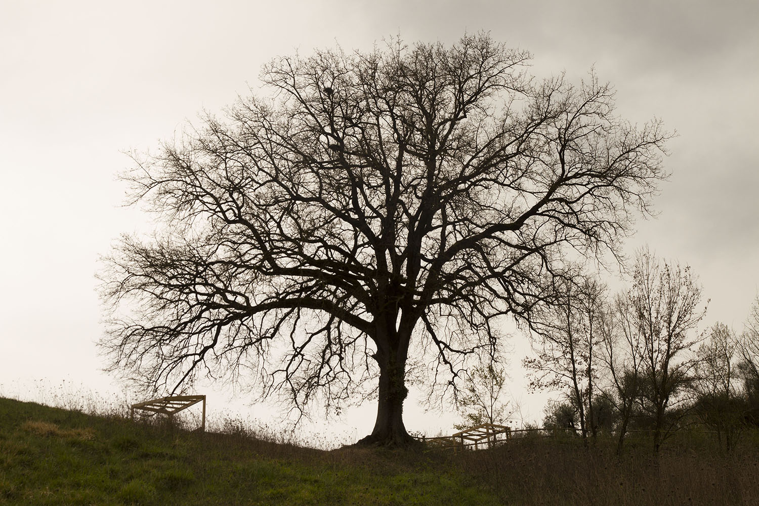 Photographie par carthe 2 pour DesignCrowd (Community Contests) | Design #15183666