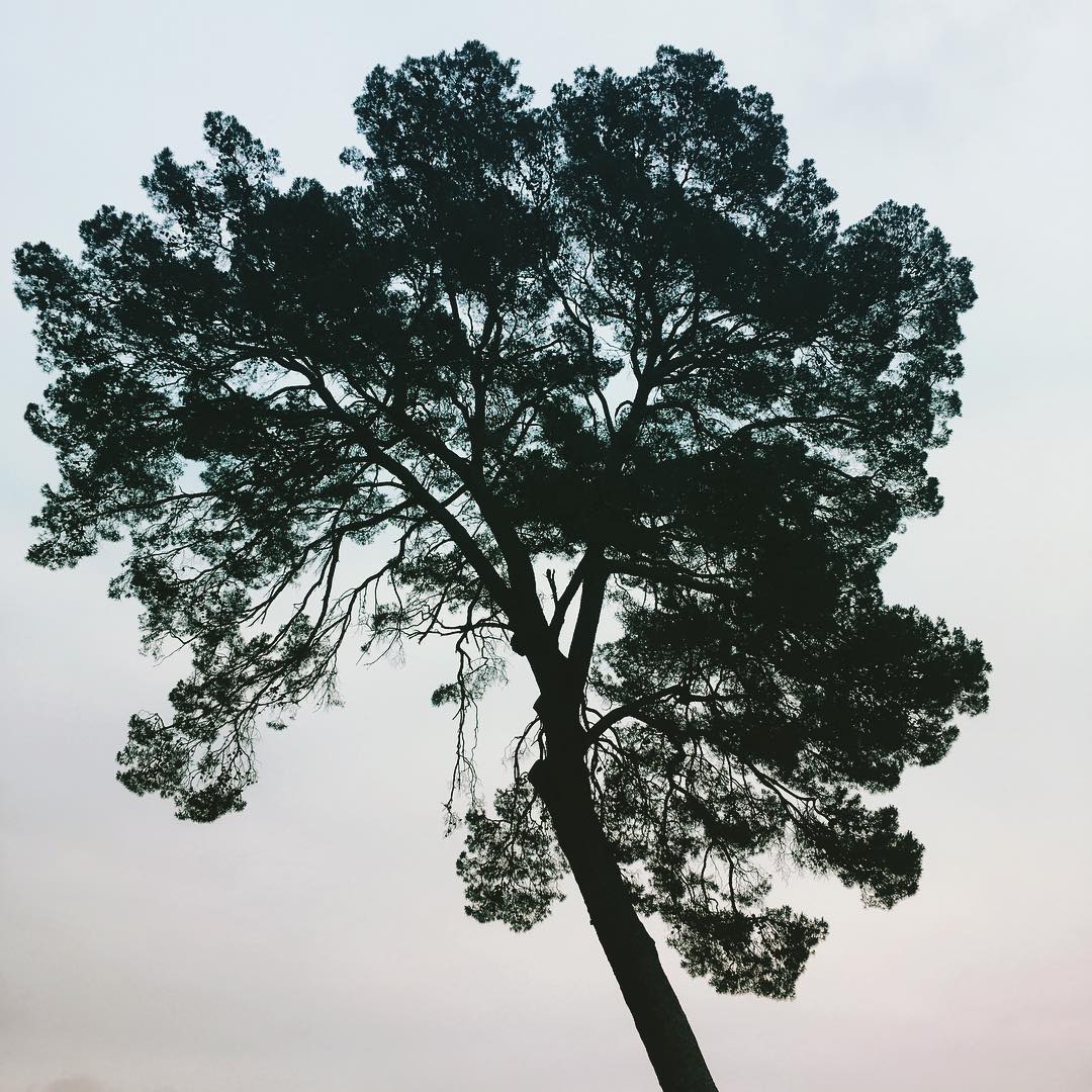 Photography by Mary Joy S. Bangaona 2 for DesignCrowd (Community Contests) | Design #15307609