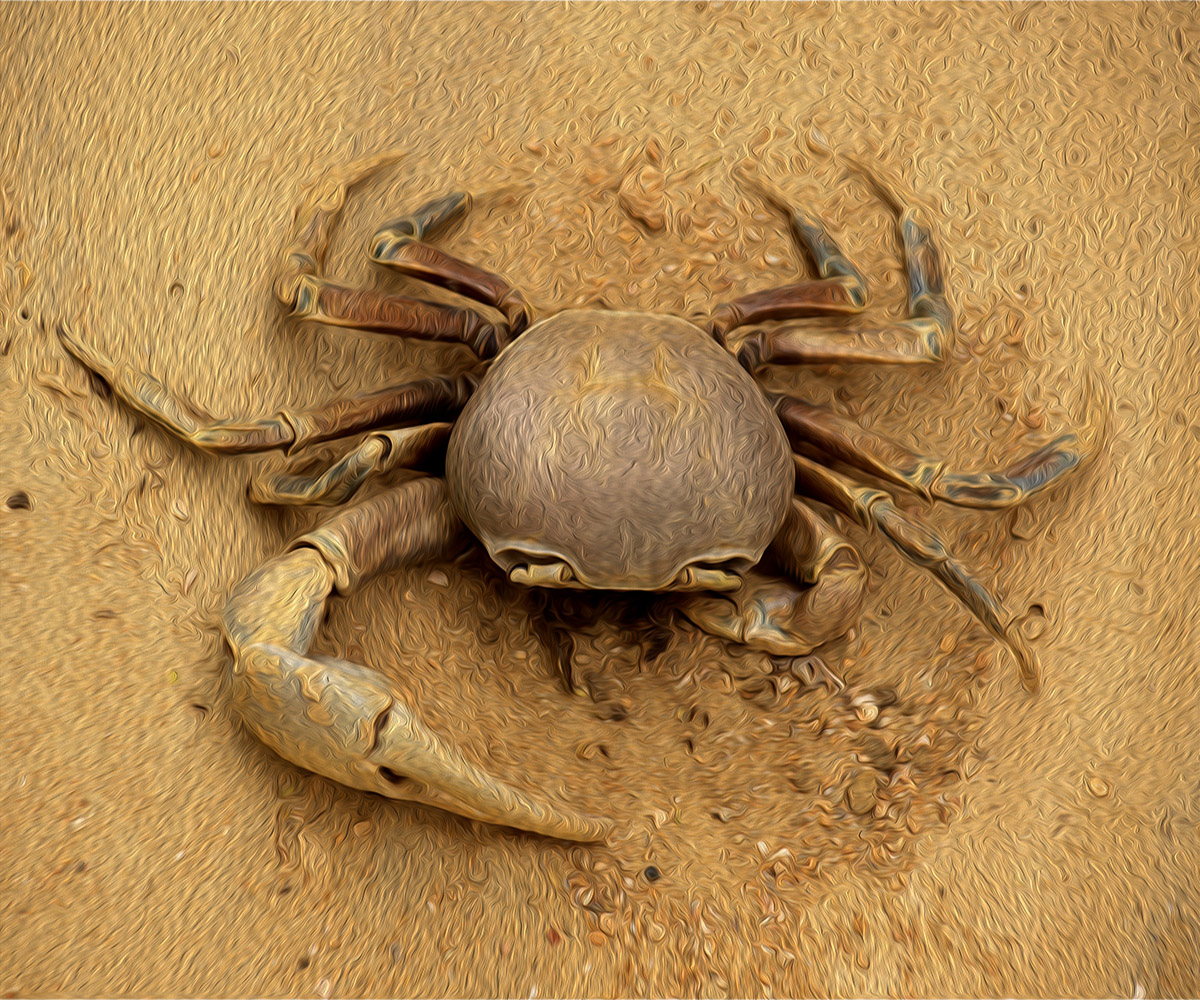 Illustration Design by El Ojo creativo for DesignCrowd (Community Contests) | Design #15281118