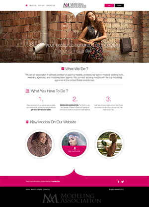 Web Design by Berdila Florin