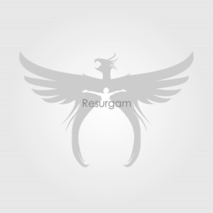 Logo Design by Criollo's Art