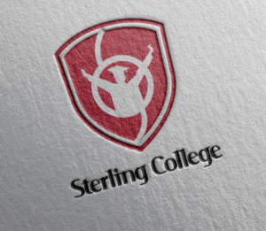 Logo Design by Dh Production By Aniqa