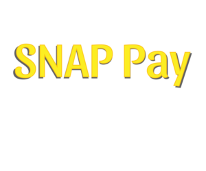Logo Design by Be a River for SNAP Financial | Design #15251022