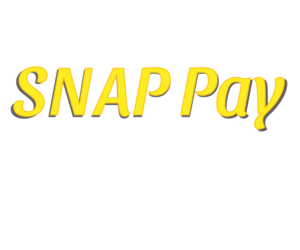 Logo Design by Be a River for SNAP Financial | Design: #15251029