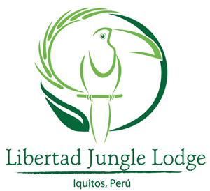 Logo Design by Coco Creative Design for this project | Design #2965851