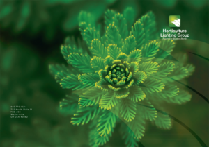 Brochure Design by PND for Horticulture Lighting Group | Design: #15236853