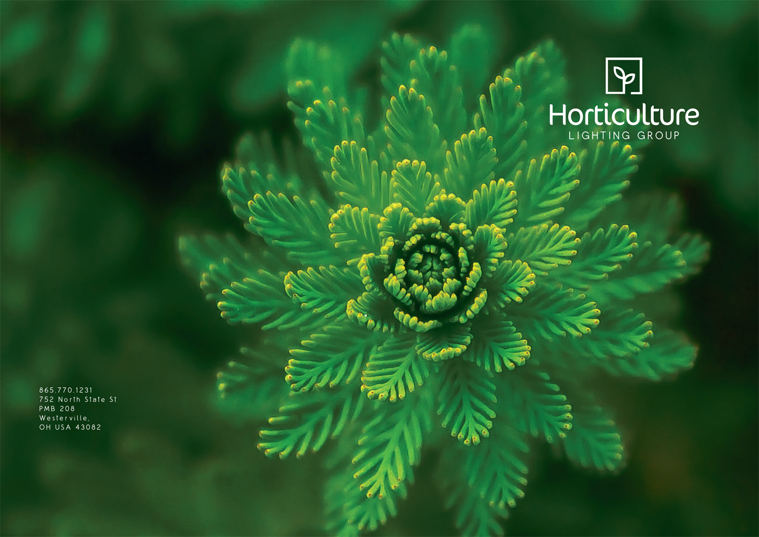 Brochure Design by PND for Horticulture Lighting Group | Design #15236855