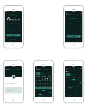 iPhone app design for cryptocurrency trading investment fund Etradium | App Design by DesignerExp
