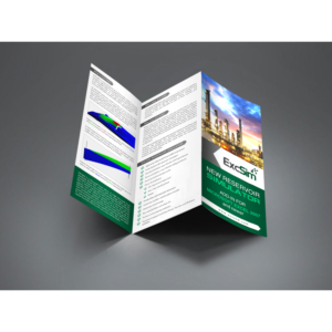 Flyer Design by debdesign for Excsim | Design: #15233122