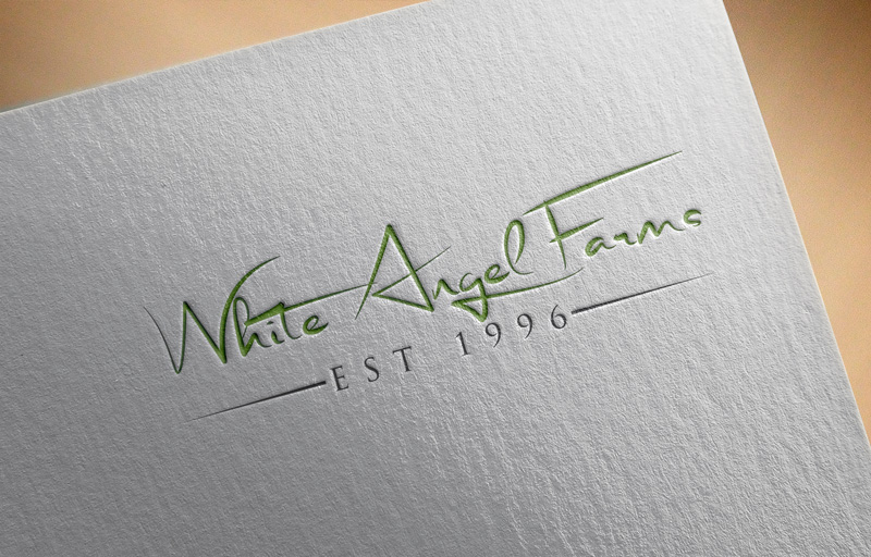 Logo Design by Mehedi Hasan ™ for this project | Design #15245721