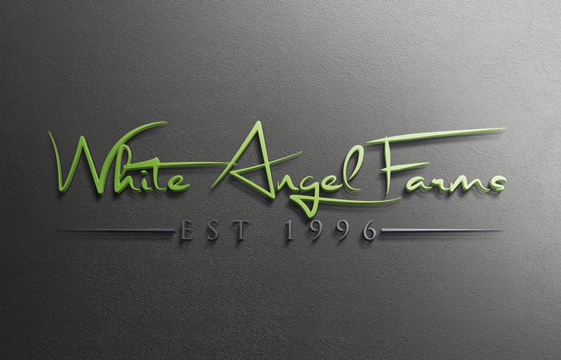 Diseño de Logo por Mehedi Hasan ™ para este proyecto | Diseño #15245723