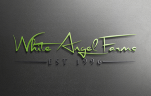 Logo Design by Mehedi Hasan ™ for this project | Design: #15245723