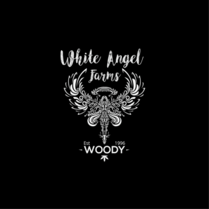 Logo Design by Mime Artworks for this project | Design: #15327508