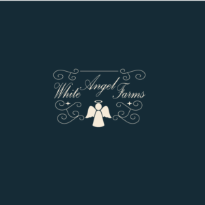 Logo Design by BLACK OFICIELL