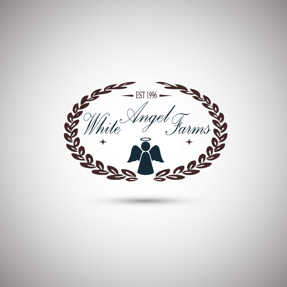 Diseño de Logo por BLACK OFICIELL para este proyecto | Diseño #15323095