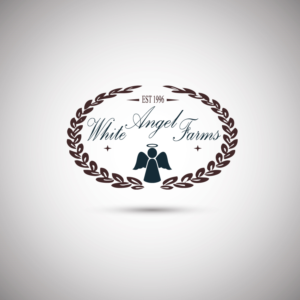 Diseño de Logo por BLACK OFICIELL para este proyecto | Diseño: #15323095