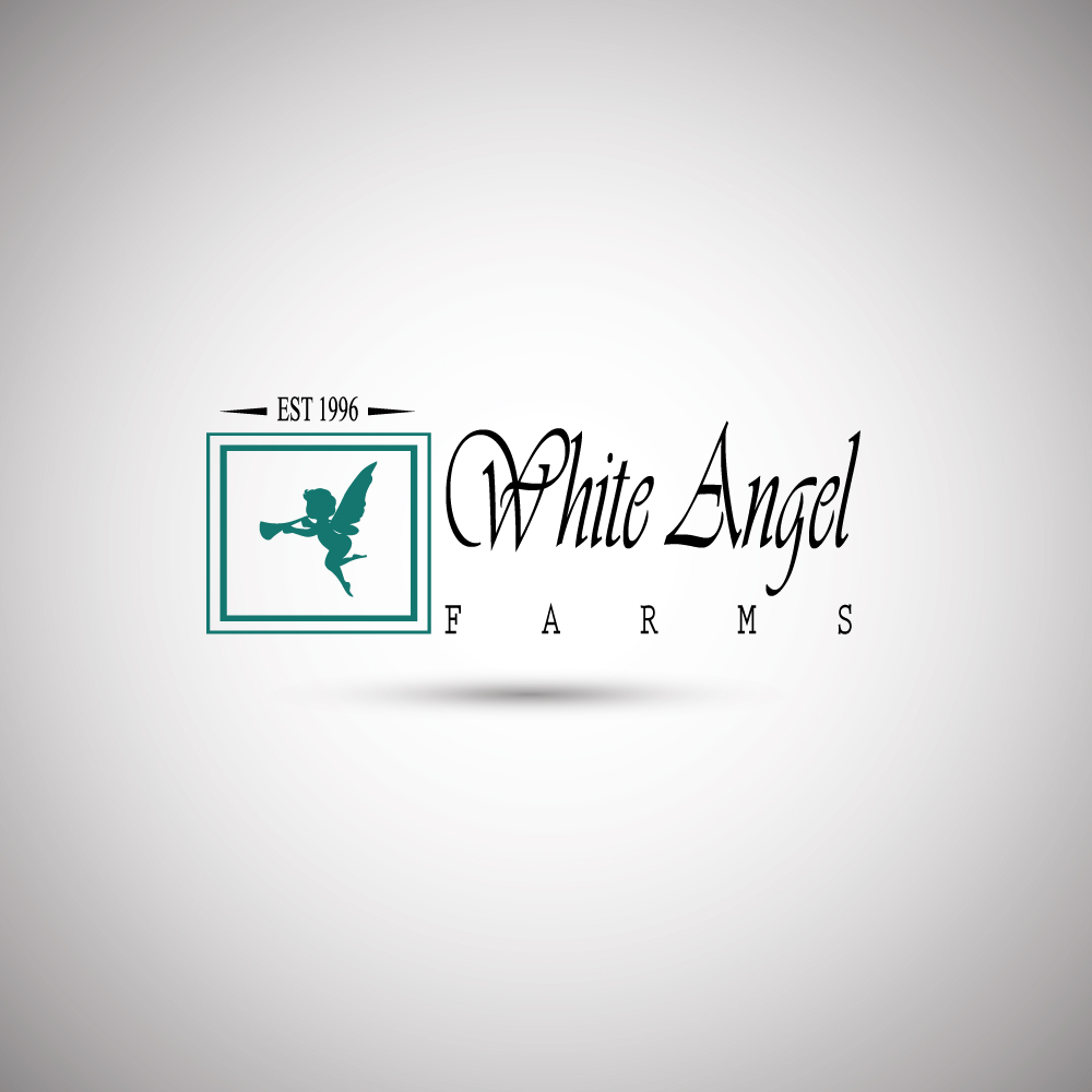 Logo-Design von BLACK OFICIELL für dieses Projekt | Design #15323685