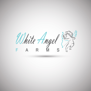 Logo Design by BLACK OFICIELL for this project | Design #15330156
