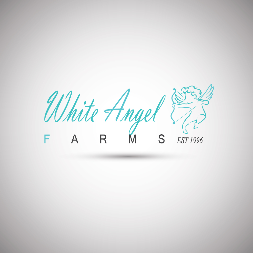 Diseño de Logo por BLACK OFICIELL para este proyecto | Diseño #15330314