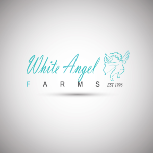 Logo Design by BLACK OFICIELL for this project | Design: #15330314