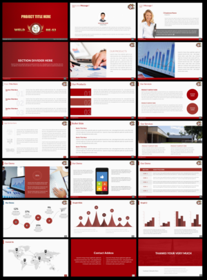 PowerPoint Design by Best Design Hub for Lisa Relou Consulting | Design: #15224030