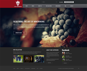 Wordpress Design by pb for this project | Design: #2648895