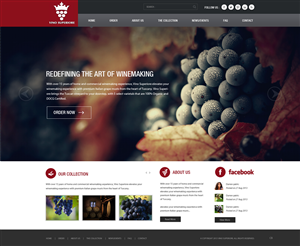 Wordpress Design by pb for this project | Design: #2658590