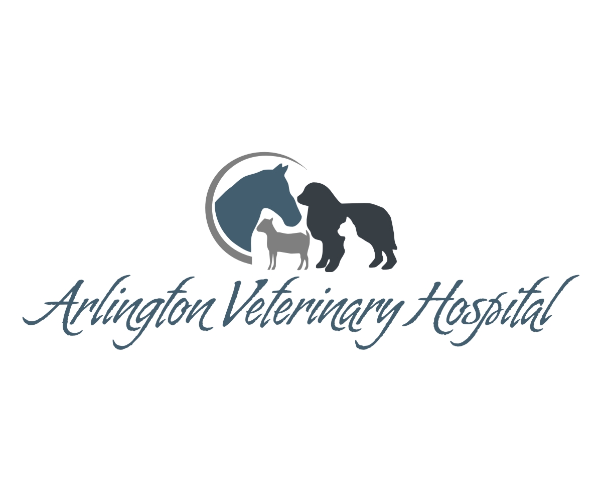 Logo Design by Cre8tive Junction for this project | Design #2659406