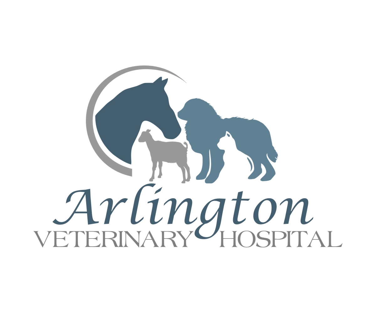 Logo Design by Cre8tive Junction for this project | Design #2718948