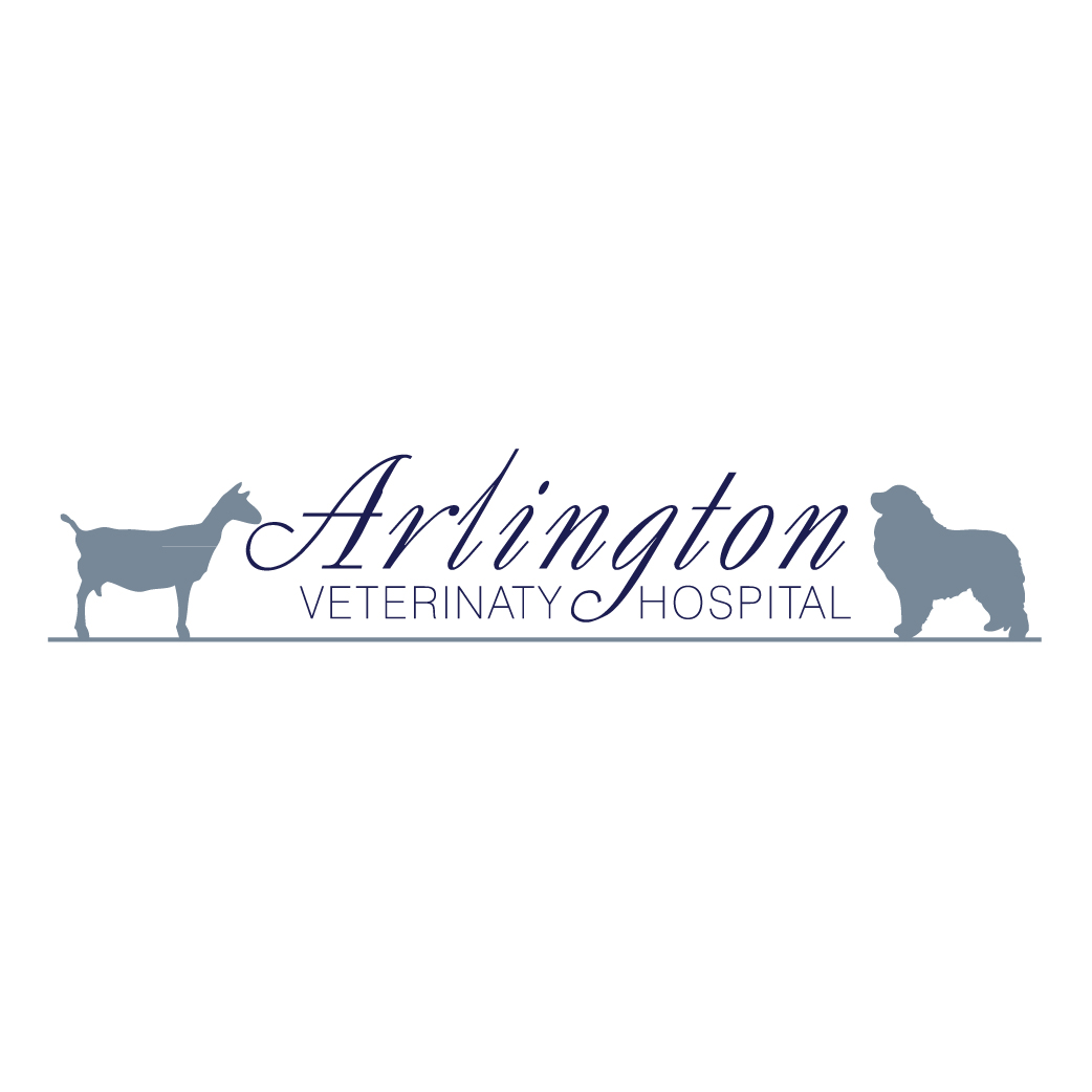Logo Design by Irina Makedonska for this project | Design #2611231