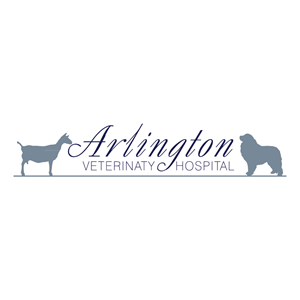 Logo Design by Irina Makedonska for this project | Design: #2611231