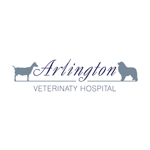Logo Design by Irina Makedonska for this project | Design: #2611232