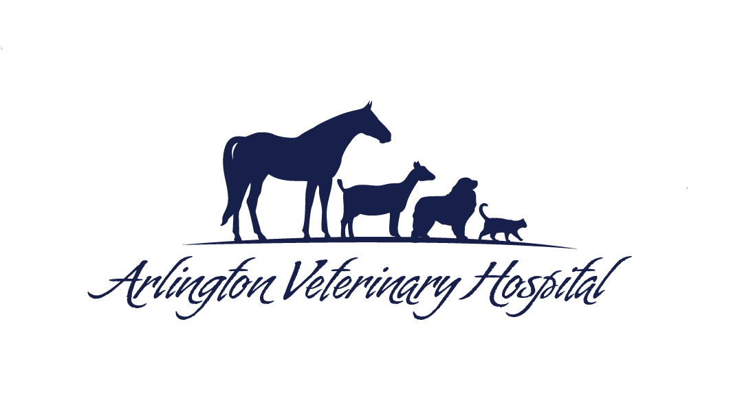 Diseño de Logo por Marta Sobczak  para este proyecto | Diseño #2623749