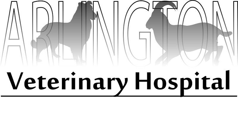 Diseño de Logo por  Alpo Stark para este proyecto | Diseño #2583067