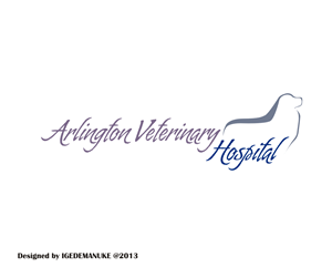 Logo Design by XV37
